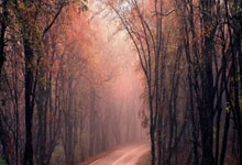 打牌吧下载可靠吗？怎么下载？